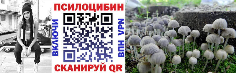 Галлюциногенные грибы Cubensis  Купить закладки  Белоозёрский 