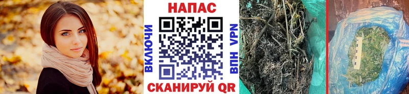 Купить  Белоозёрский  Марихуана OG Kush 